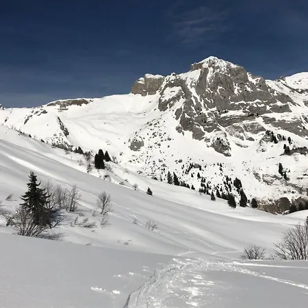Appartement L'origan Le Grand-Bornand