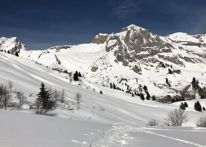 Lägenhet L'origan